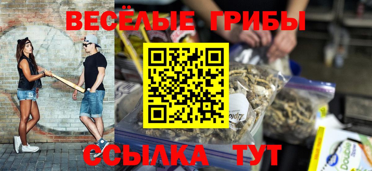 Галлюциногенные грибы прущие грибы  Вход с VPN  купить наркотики цена  Псилоцибиновые грибы мицелий  Нефтекамск 